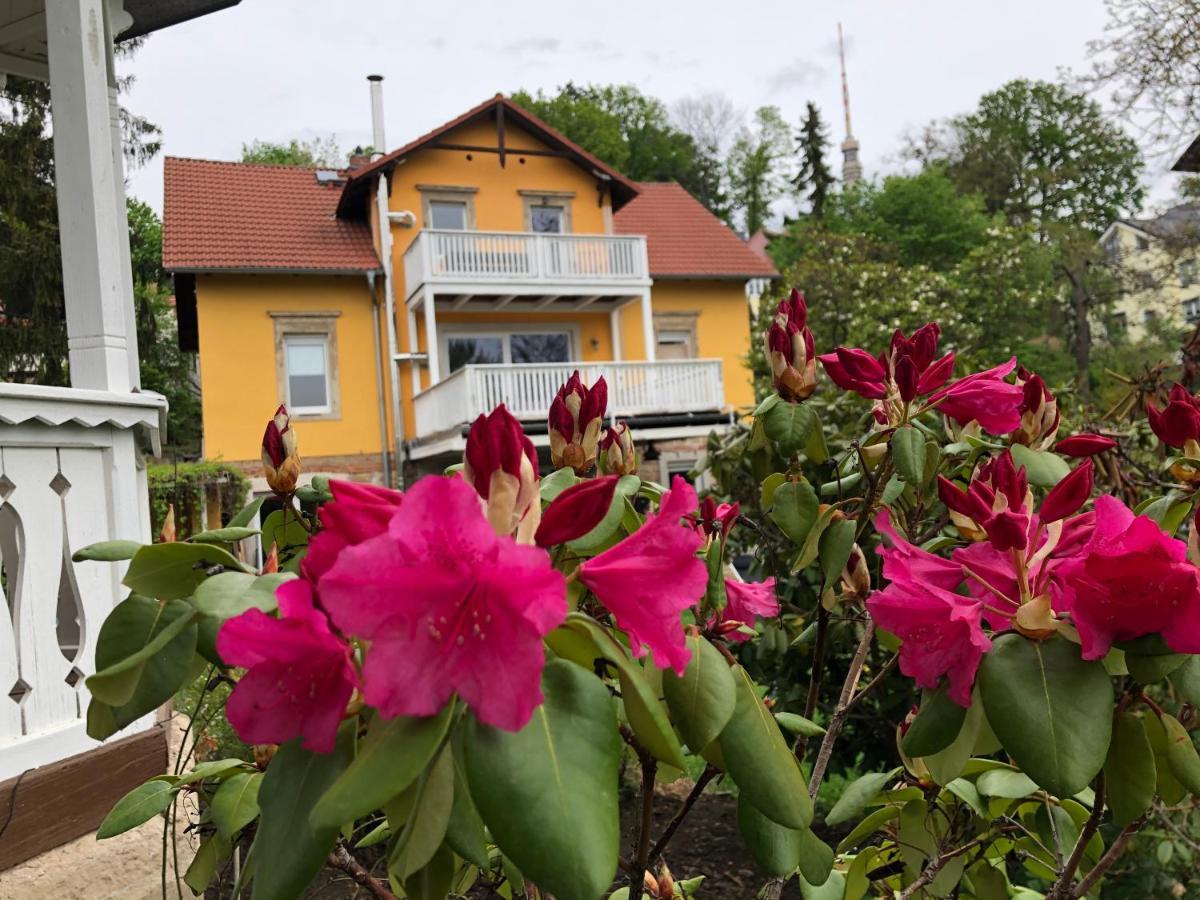 Ferienwohnung Casa Casimir Mit Elbblick, Balkon Und Grossen Garten Dresda Exterior foto